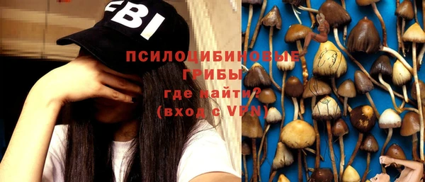 ПСИЛОЦИБИНОВЫЕ ГРИБЫ Алзамай