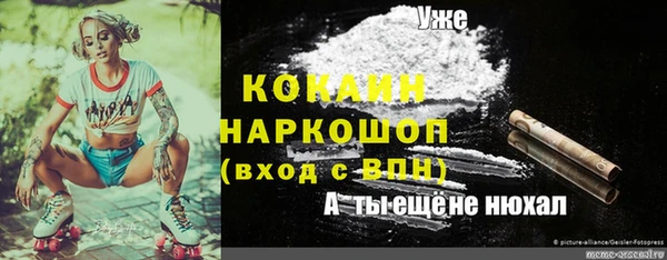ПСИЛОЦИБИНОВЫЕ ГРИБЫ Алзамай