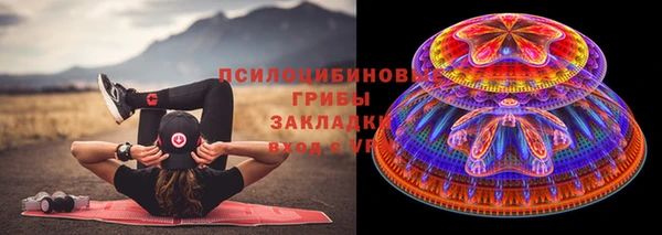 твердый Алексин